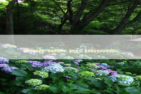 蛰伏中孕育机会！券商阶段新低，机构提示：需把握高性价比布局窗口 新闻