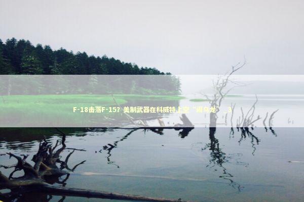 F-18击落F-15？美制武器在科威特上空“闹乌龙”_3 新闻