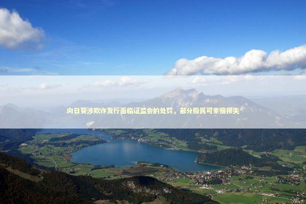 向日葵涉欺诈发行面临证监会的处罚，部分股民可索赔损失 新闻