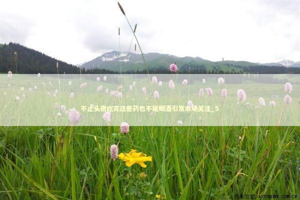 不止头孢吃完这些药也不能喝酒引发市场关注_5 不止头孢吃完这些药也不能喝酒引发市场关注_5 新闻