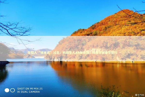 年轻人“拼单式”过年：和陌生人AA年夜饭，找搭子去春节旅行 新闻