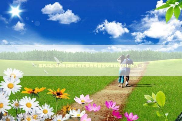 黑石高层据悉自掏腰包应对旗舰级基金BCRED的赎回压力_2 新闻