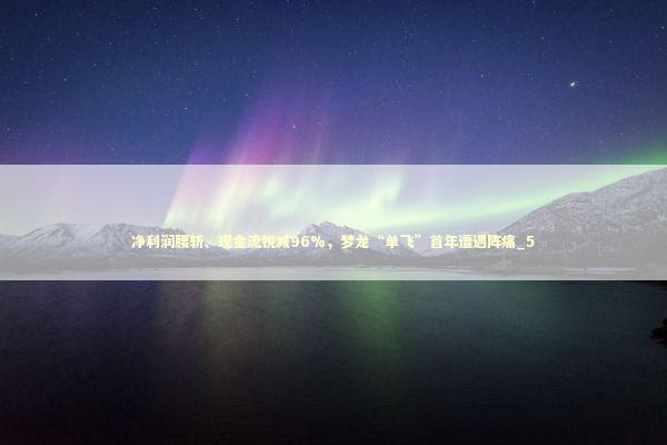 净利润腰斩、现金流锐减96%，梦龙“单飞”首年遭遇阵痛_5 新闻