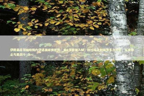 伊朗最高领袖哈梅内伊遇袭详情披露，曾6次被捕入狱，挺过暗杀制裁等多次危机，从未停止与美战斗_2 新闻