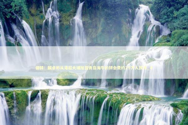 德转：颜卓彬从港超大埔加盟青岛海牛的转会费约29万人民币_4 新闻