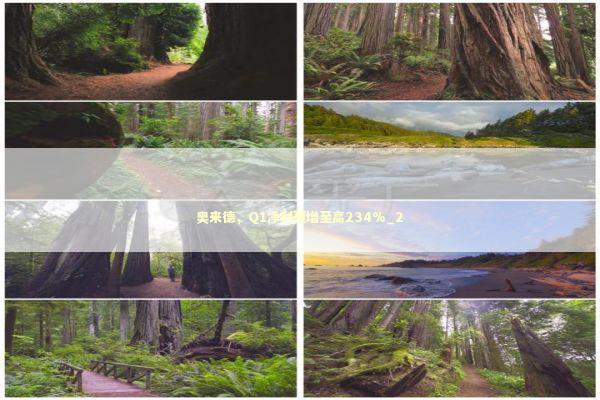 奥来德，Q1净利预增至高234%_2 新闻