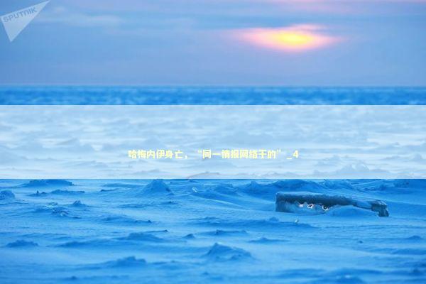 哈梅内伊身亡,“同一情报网络干的”_4 哈梅内伊身亡,“同一情报网络干的”_4 新闻