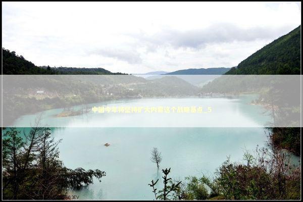 中国今年将坚持扩大内需这个战略基点_5 新闻