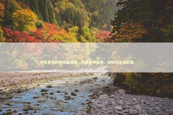 中东多地跨境快递调整,阿联酋等暂停、沙特仍正常配送 中东多地跨境快递调整,阿联酋等暂停、沙特仍正常配送 新闻