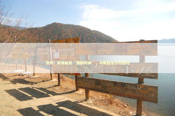 首例!网易触发“强制转换”,中概股定价权回归 首例!网易触发“强制转换”,中概股定价权回归 新闻