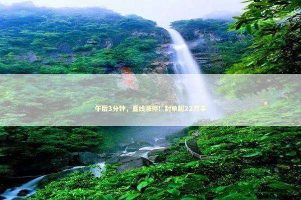 午后3分钟,直线涨停!封单超22万手 午后3分钟,直线涨停!封单超22万手 新闻