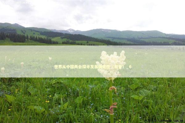 世界从中国两会探寻发展确定性(和音)_6 世界从中国两会探寻发展确定性(和音)_6 新闻