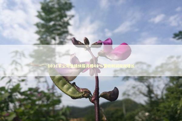 1031家公司业绩快报亮相49%营收利润双双增长 1031家公司业绩快报亮相49%营收利润双双增长 新闻