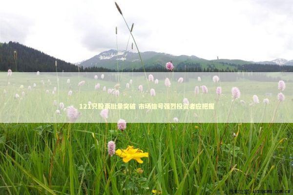 121只股票批量突破 市场信号强烈投资者应把握 新闻