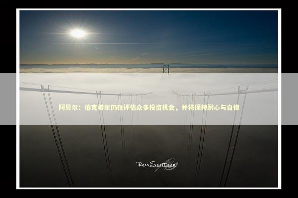 阿贝尔：伯克希尔仍在评估众多投资机会，并将保持耐心与自律 新闻