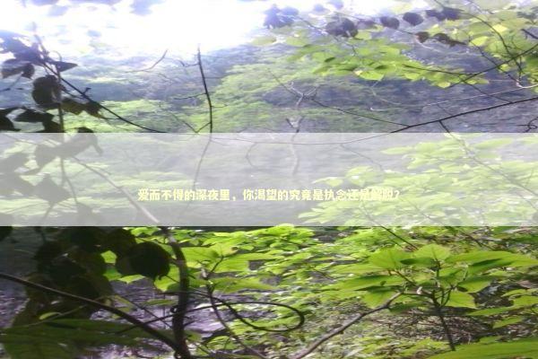 爱而不得的深夜里,你渴望的究竟是执念还是解脱? 爱而不得的深夜里,你渴望的究竟是执念还是解脱? 情感心理