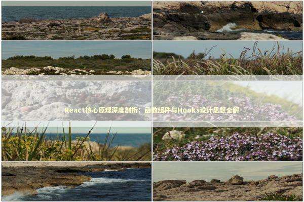 React核心原理深度剖析:函数组件与Hooks设计思想全解 React核心原理深度剖析:函数组件与Hooks设计思想全解 IT技术