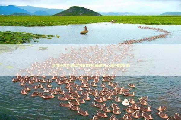 当信任危机来袭我们如何重建内心那份踏实感 情感心理