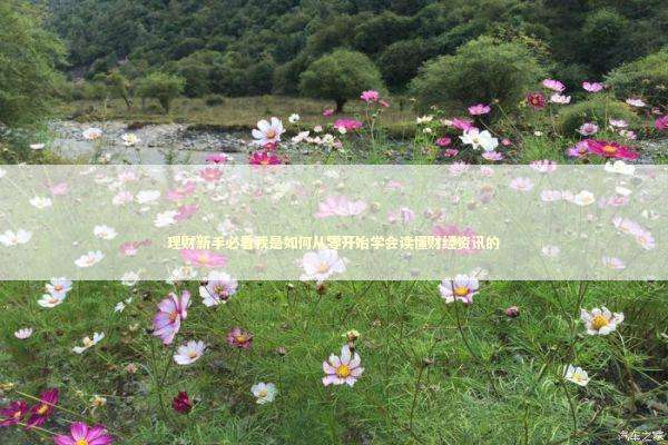 理财新手必看我是如何从零开始学会读懂财经资讯的 股票财经