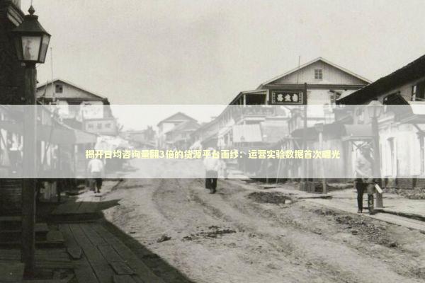 揭开日均咨询量翻3倍的货源平台面纱：运营实验数据首次曝光 企业服务