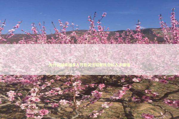 为什么越来越多人开始关注轻奢钱包的入手渠道 时尚用品