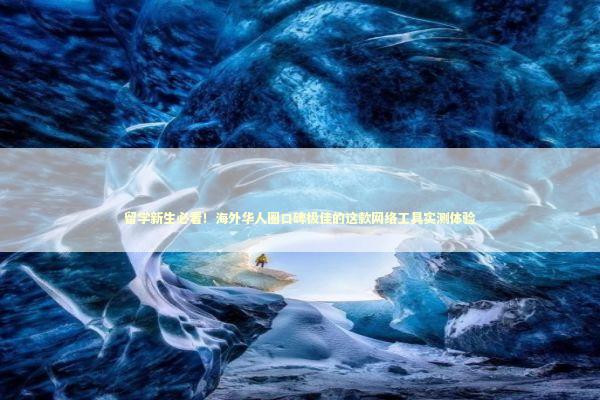 留学新生必看！海外华人圈口碑极佳的这款网络工具实测体验 IT技术