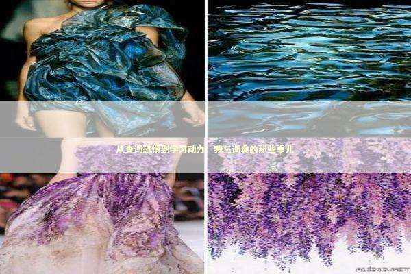 从查词恐惧到学习动力：我与词典的那些事儿 教育招生