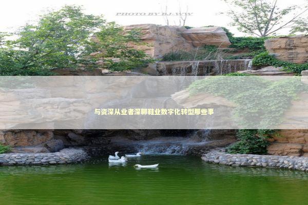 与资深从业者深聊鞋业数字化转型那些事 新闻